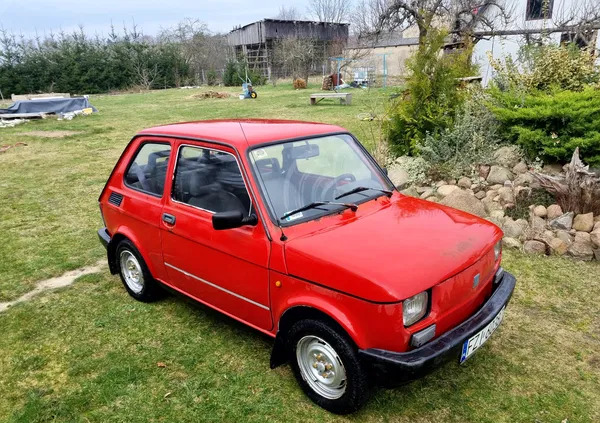 Fiat 126 cena 6000 przebieg: 111000, rok produkcji 1999 z Kraśnik małe 11